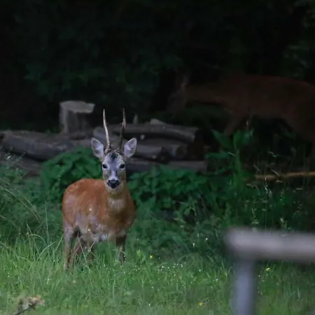 아파트 Casa Vacanze Como Brunate