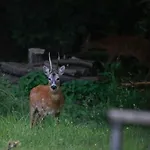 Apartman Casa Vacanze Como Brunate