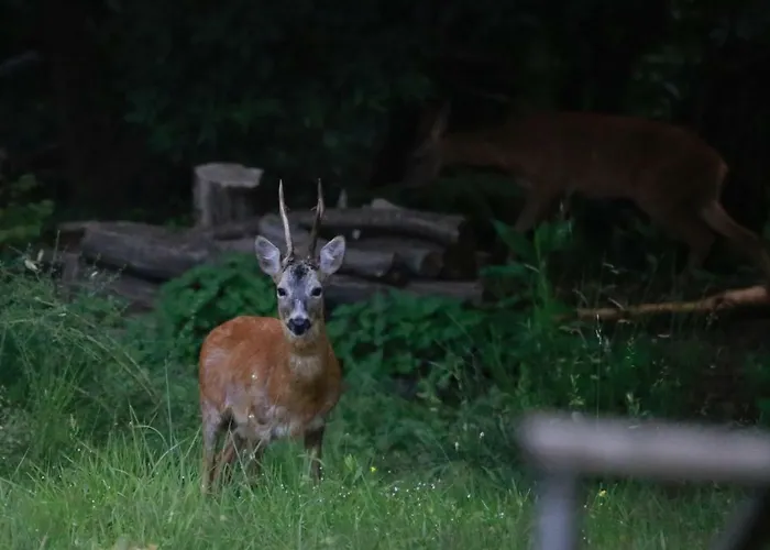 Διαμέρισμα Casa Vacanze Como Brunate